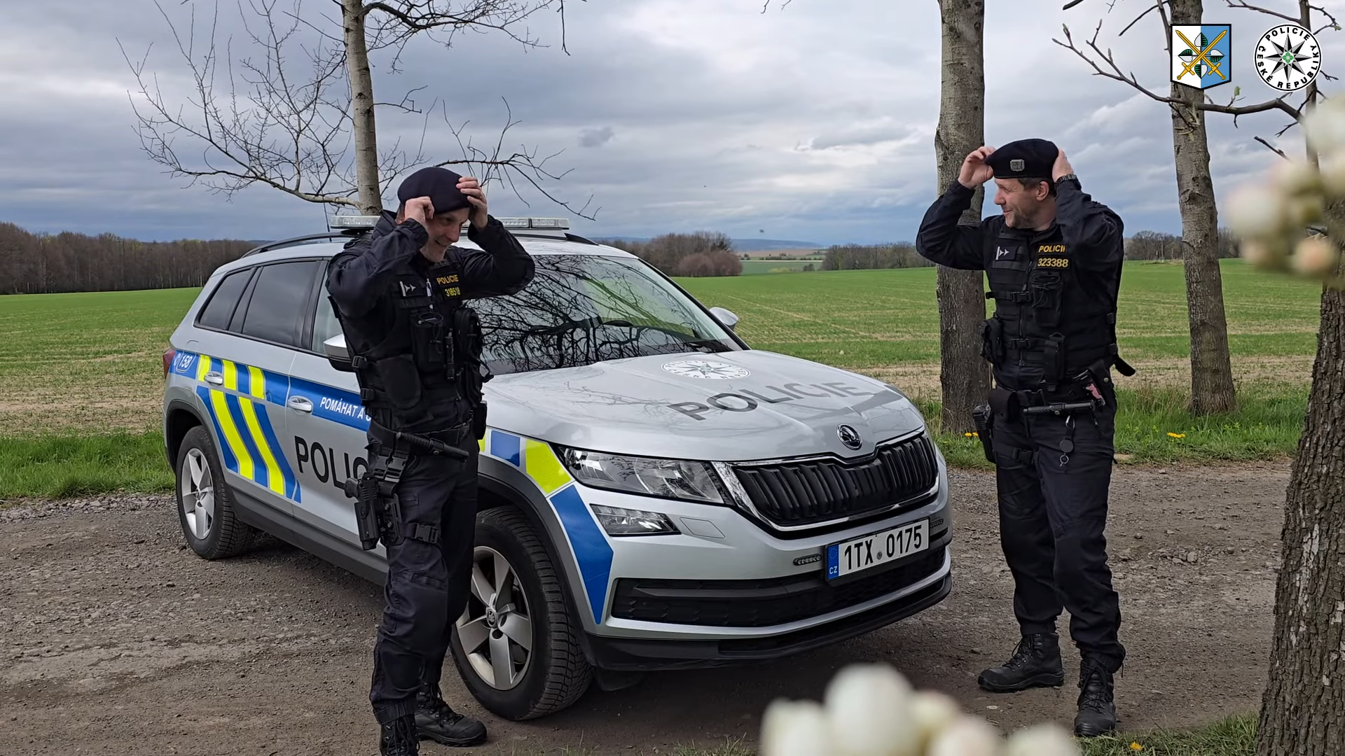 У Чехії жінка народила просто на парковці