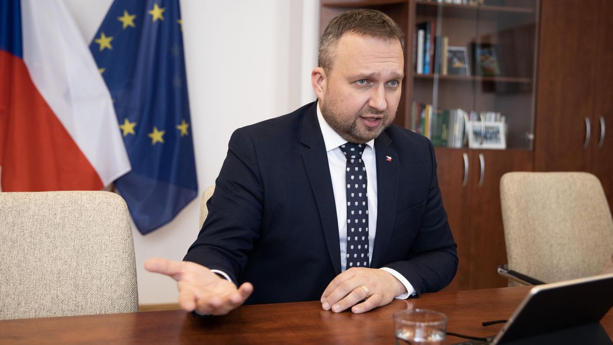 Сенат Чехії схвалив заміну чотирьох соцвиплат однією