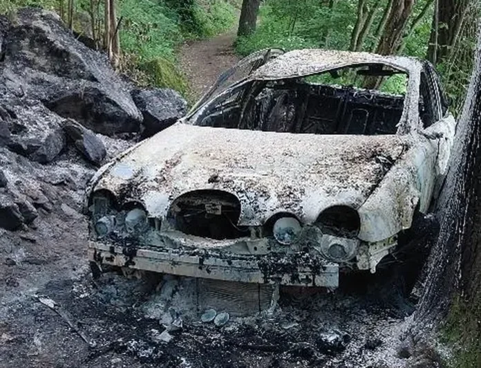 Обгоріле авто у лісі в Пісеку