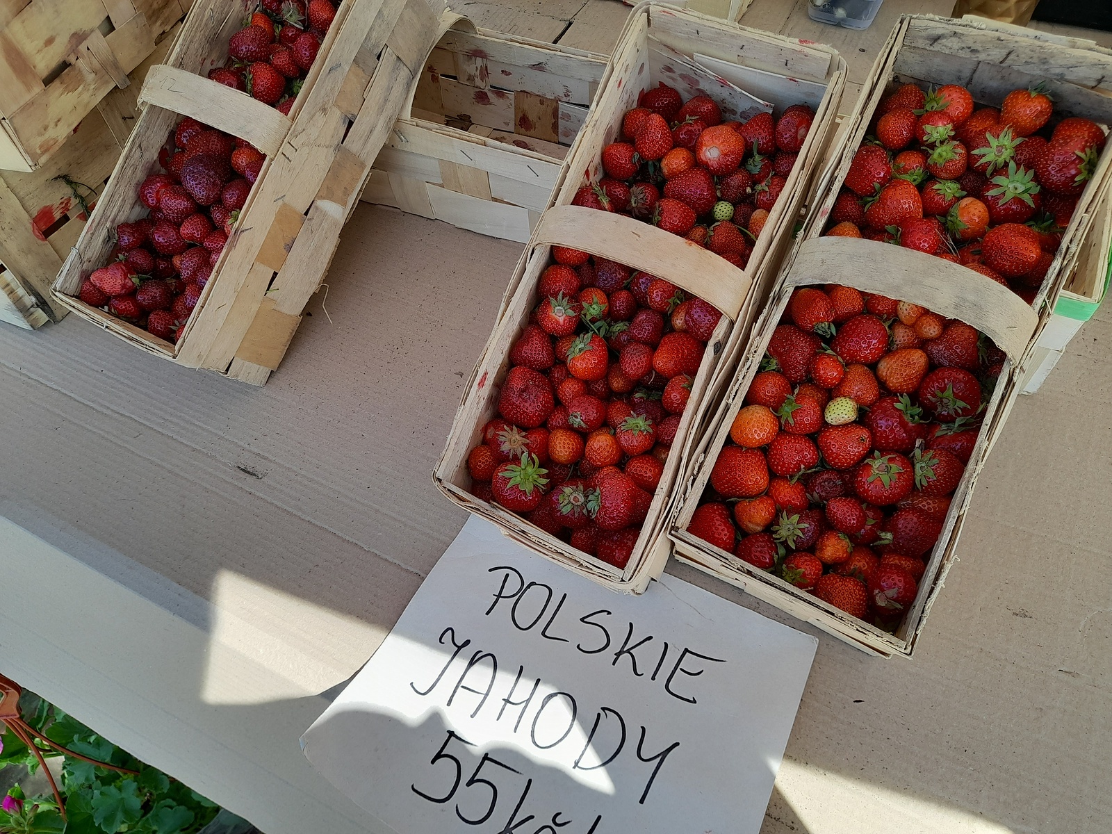 Češi míří za jahodami do Polska