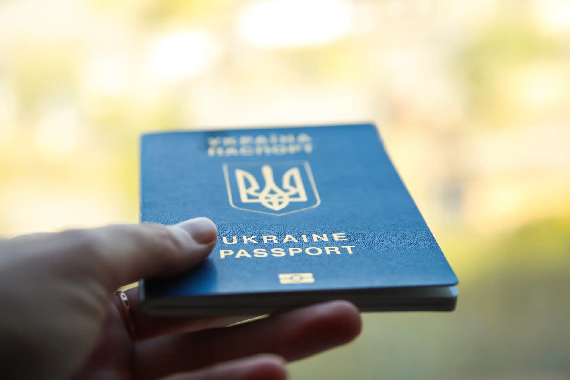 Український паспорт Український паспорт