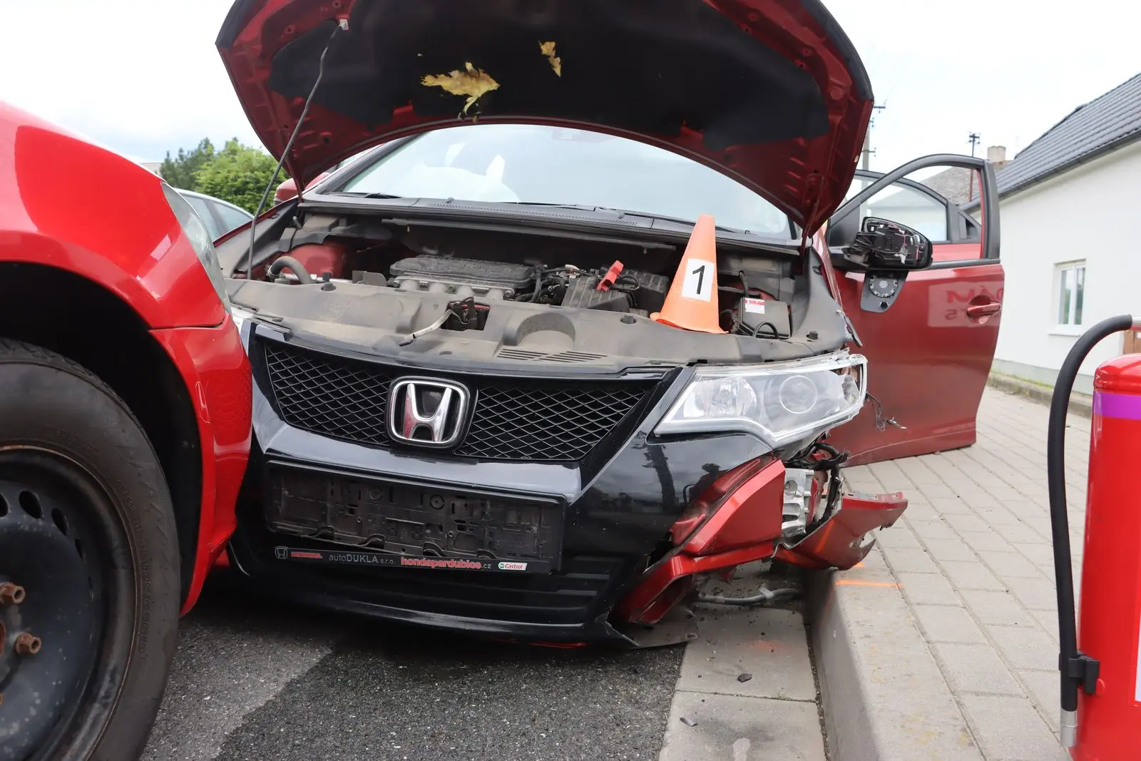 Водій Honda ганявся за мухою Водій Honda ганявся за мухою