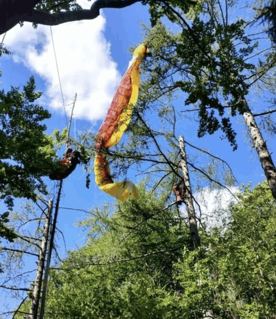 Поблизу Хомутова парапланерист застряг у кронах дерев на висоті 15 метрів - Новини Чехії. Джерело: Українці в Чехії | Чеські новини для українців Поблизу Хомутова парапланерист застряг у кронах дерев на висоті 15 метрів - фото №