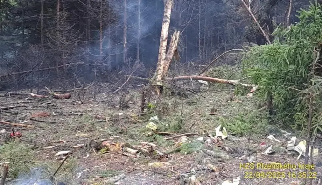 У Чехії розбився літак