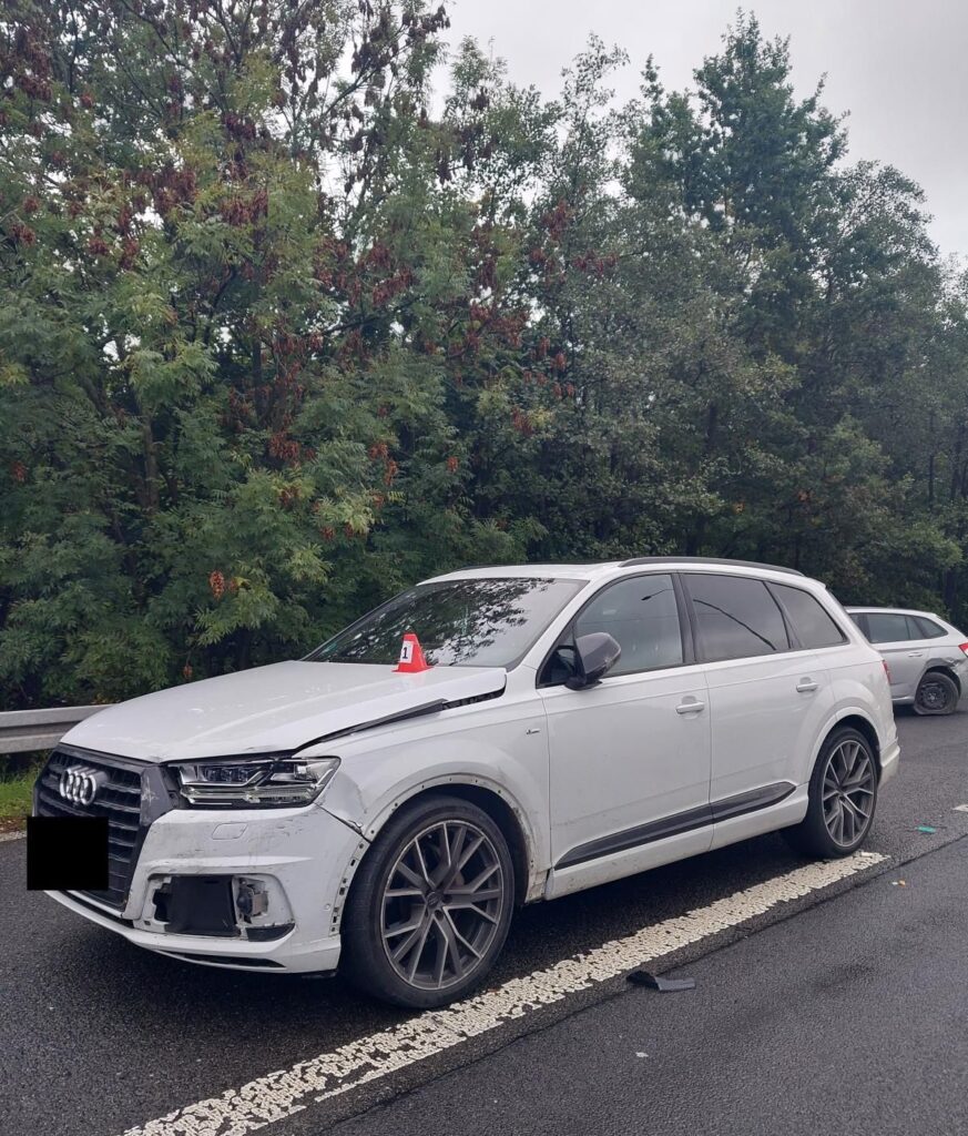 На півночі Чехії поліція зупинила двох злодіїв, які перевозили викрадені в Німеччині автомобілі - фото №