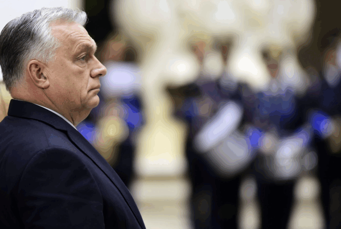 Знімок екрана 2025-10-28 о 07.55.07