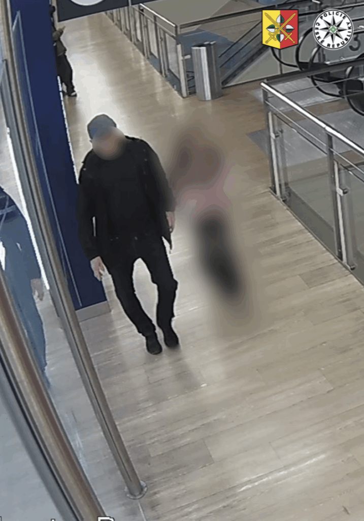 У Празі стався сексуальний напад на дев’ятирічну дівчинку - фото №