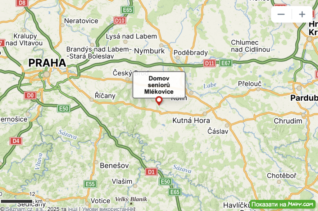 Сліпа та старенька собака допомагає літнім людям у Чехії - фото №