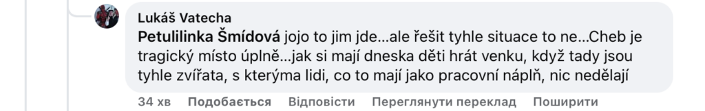 Мешканці Хеба б’ють на сполох: у місті повідомляють про напади та агресію - фото №4