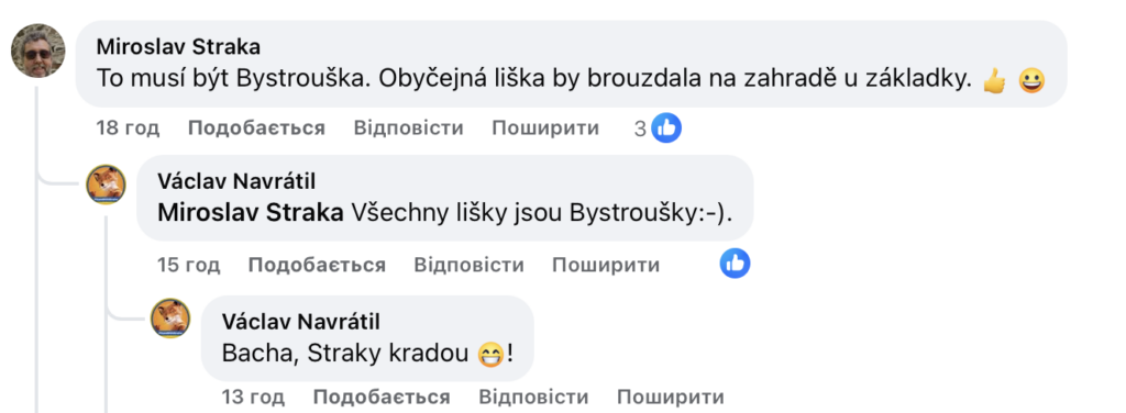 У чеському місті Хеб лисиця регулярно навідується до гімназії. Відео - фото №