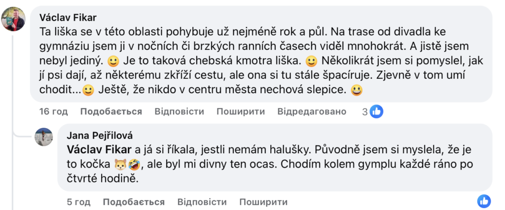 У чеському місті Хеб лисиця регулярно навідується до гімназії. Відео - фото №1