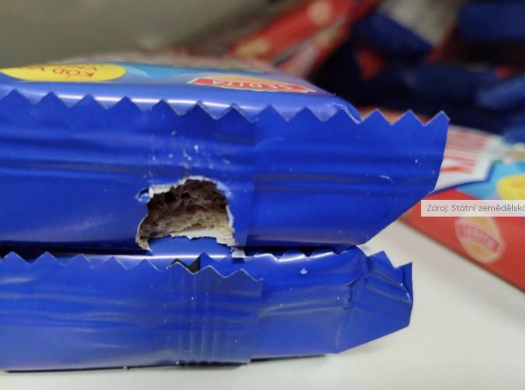 У місті Пардубіце закрили продуктовий магазин через антисанітарію - фото №4