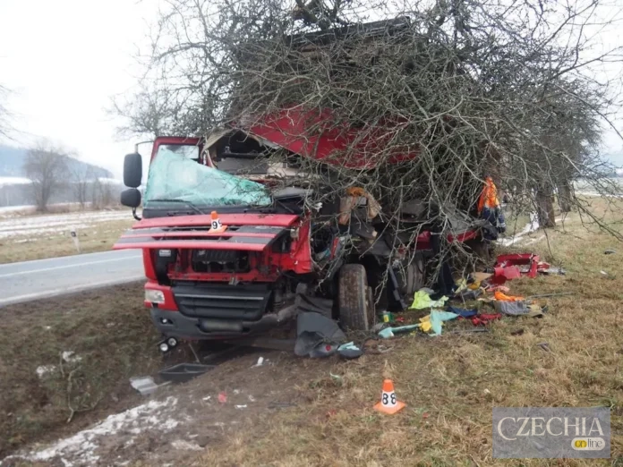 Вантажівки жорстко врізалась в дерево