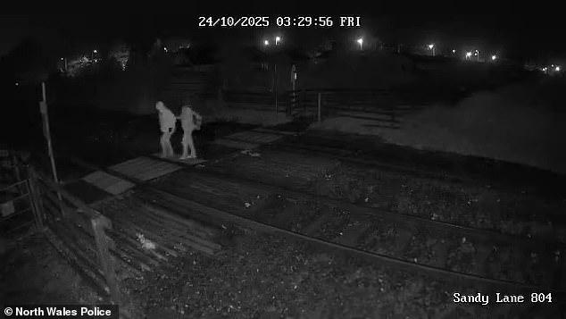 Штучний інтелект порадив 18-річному британцю, як убити власну матір - фото №2