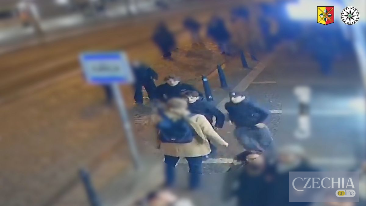 Чеська поліція розшукує нападників з перцевим газом