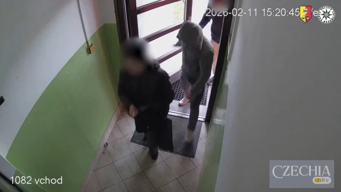 Двоє іноземців пограбували пенсіонерку у Празі
