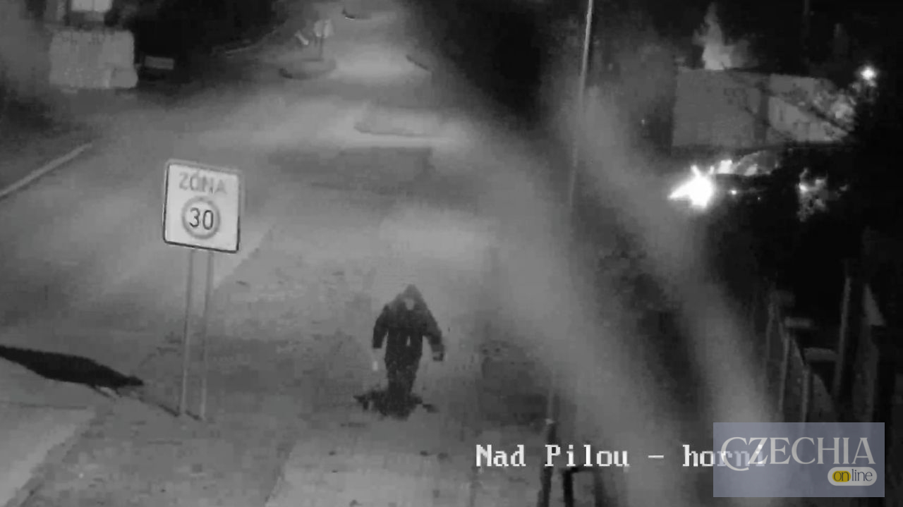 В Південній Чехії підпалили авто місцевого депутата