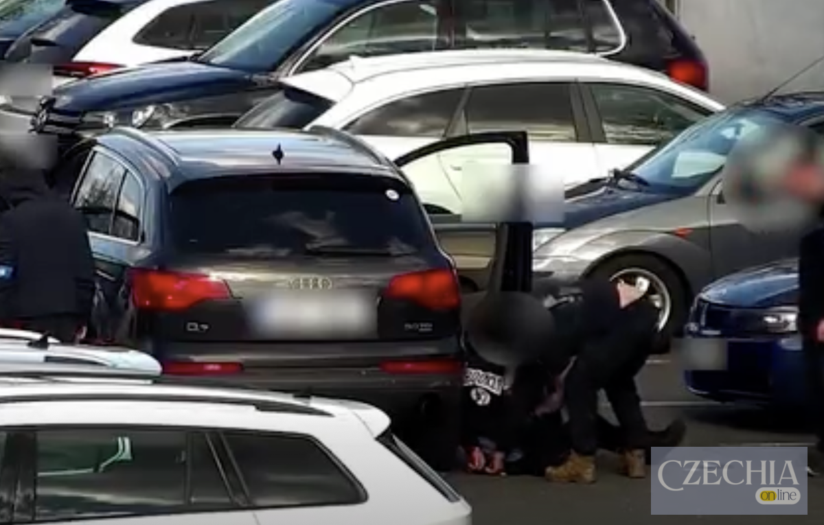Службовий собака поліції Чехії шукає наркотики в автомобілі підозрюваного.