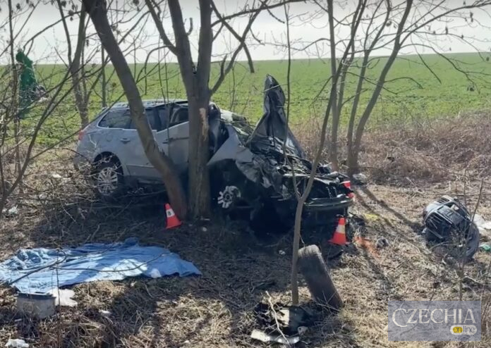Розбитий сріблястий легковик після сильного зіткнення з деревом поблизу села Крупа.