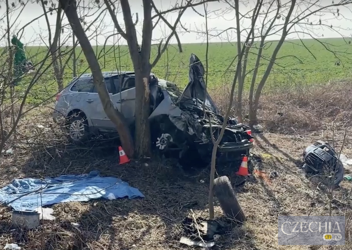 Смертельна ДТП Крупа Колінщина дерево Розбитий сріблястий легковик після сильного зіткнення з деревом поблизу села Крупа.