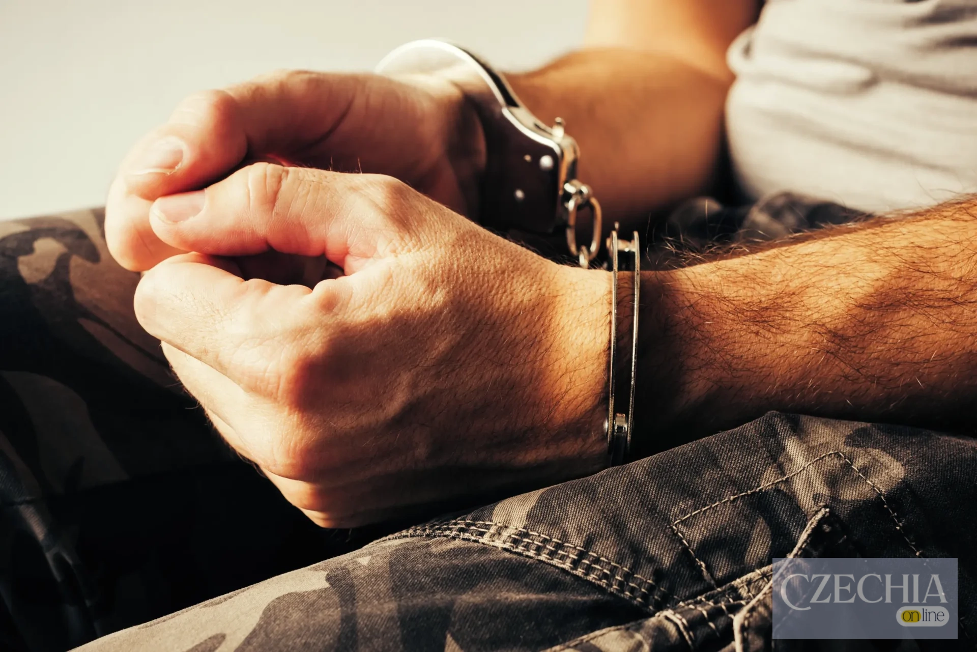 22 іноземців симулювали інвалідність у Чехії 22 іноземців симулювали інвалідність у Чехії