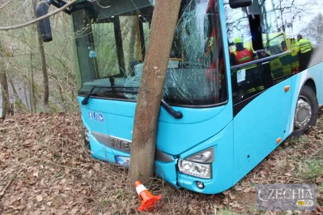 автобус врізався у дерево через п’яного водія