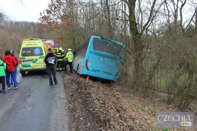 автобус врізався у дерево через п’яного водія