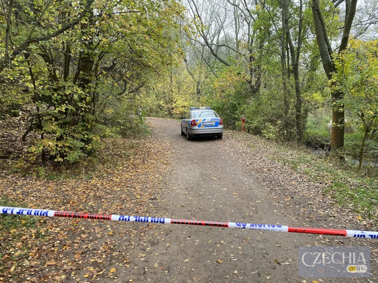 У Чехії зафіксували зростання кількості вбивств У Чехії зафіксували зростання кількості вбивств