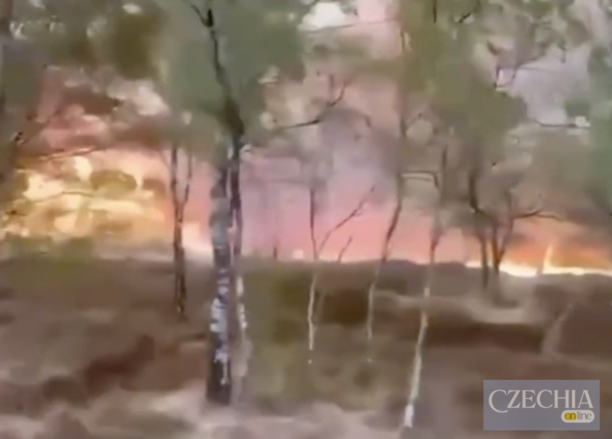 Лісова пожежа охопила полігон Стіна вогню та густий дим вирують за деревами в лісі