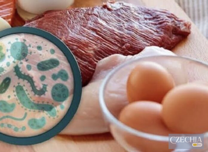 Ілюстрація сальмонели в продуктах харчування поруч із м’ясом і яйцями
