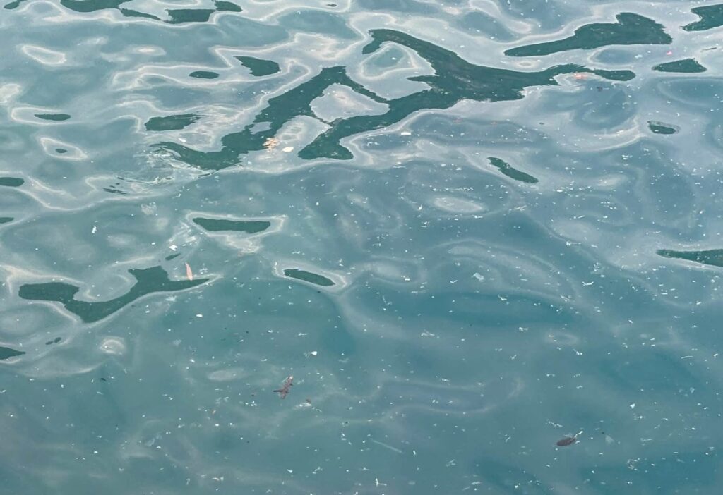 Туристи скаржаться на море, заповнене пластиком біля популярних курортів Туреччини - Світ, Мандри. Джерело: Українці в Чехії | Чеські новини для українців Туристи скаржаться на море, заповнене пластиком біля популярних курортів Туреччини - фото №