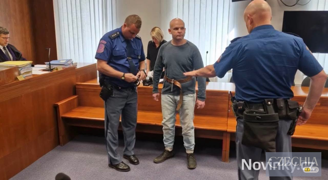 У Чехії остаточно засудили 36-річного Патріка Цигоша, який через 22 дні після умовно-дострокового звільнення з в'язниці знову вбив жінку