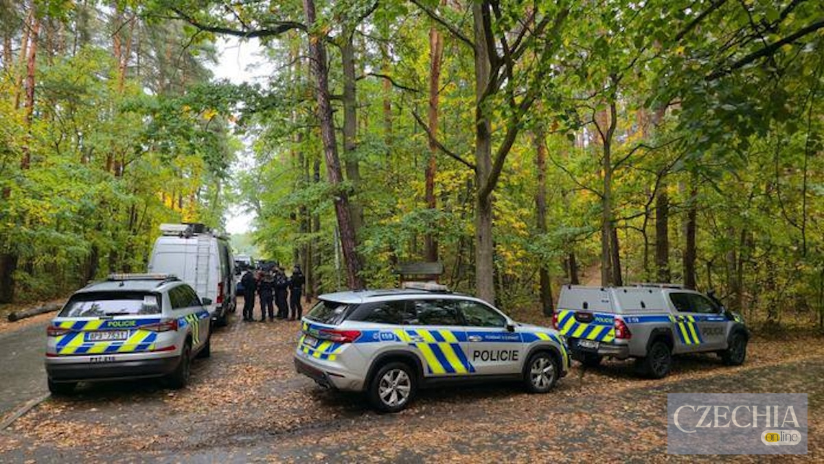 У Пльзені велосипедист напав із ножем на жінку під час пробіжки Автомобілі чеської поліції в лісовій зоні — у Пльзені розшукують велосипедиста після нападу з ножем на жінку