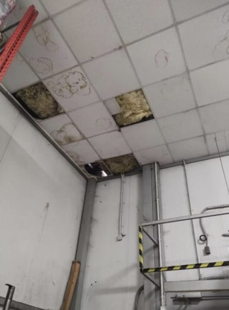 У Чехії через мишачий послід і бруд закрили супермаркет, магазини та заклад швидкого харчування - Новини Чехії. Джерело: Українці в Чехії | Чеські новини для українців У Чехії через мишачий послід і бруд закрили супермаркет, магазини та заклад швидкого харчування - фото 5