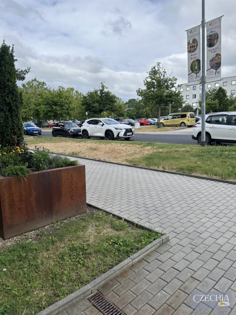 У Чехії працівники газових структур почали їздити на останніх моделях Lexus. Фото - фото 3